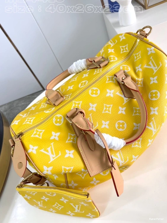 Vuitton Louis SPEEDY 40 0713